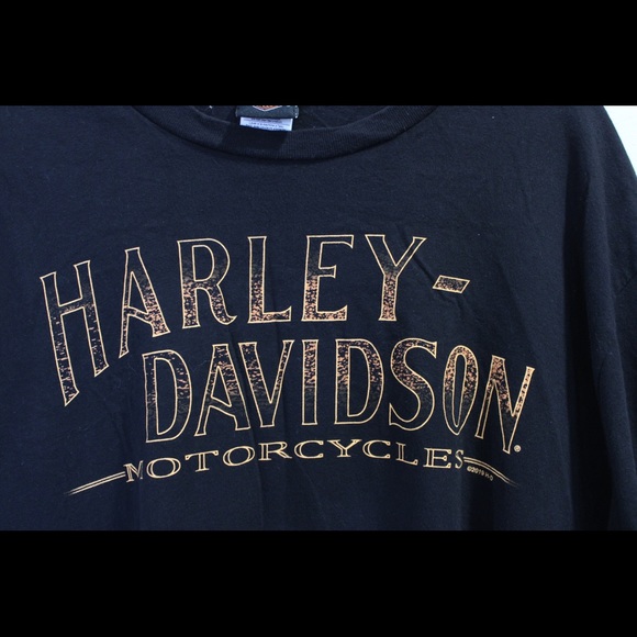 Harley-Davidson Southern Tier T-Shirt - Picture 3 of 7